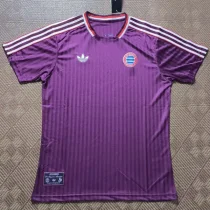 2024-25 Bayern Purple Casual Retro Edition Training Shirts