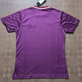 2024-25 Bayern Purple Casual Retro Edition Training Shirts