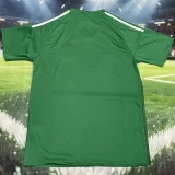 2025-26 Newcastle Green Special Edition Fans Soccer Jersey