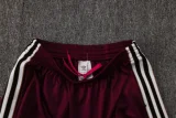 25-26 Ajax Jujube red Polo Tracksuit #C2509