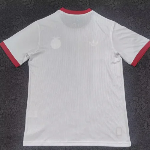 25-26 Benfca White Anniversary Edition Training shirts