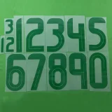 25-26 Algeria White Player Version Training shirts (绿标)