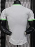 25-26 Algeria White Player Version Training shirts (绿标)