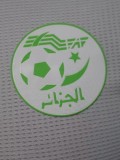 25-26 Algeria White Player Version Training shirts (绿标)