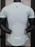 25-26 Algeria Light green Player Version Training shirts (白标)