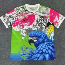 25-26 Brazil Pink Blue Special Edition Training shirts