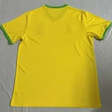 25-26 Brazil Yellow Special Edition Training shirts(飞人)