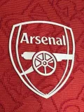 25-26 ARS Red Special Edition Player Version Training shirts (三叶)