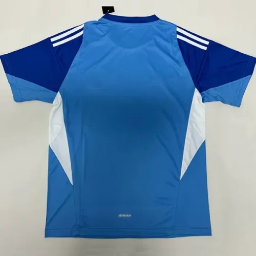 25-26 Man Utd Blue Goalkeeper Fans Soccer Jersey