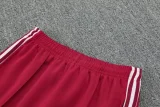 25-26 Bayern Jujube red Jacket Tracksuit