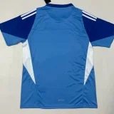 25-26 Chivas Blue GoalKeeper Soccer Jersey