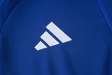 2025 AD Fancy blue Jacket Tracksuit #C2502