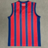 25-26 BaHia Away Vest