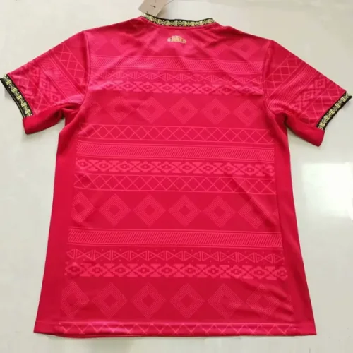 25-26 Brazil Red Special Edition Training shirts (PrintPersonalized AD)(圆领)