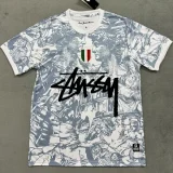 24-25 Italy Grey White Special Edition Fans Soccer jersey (Print Personalized AD)
