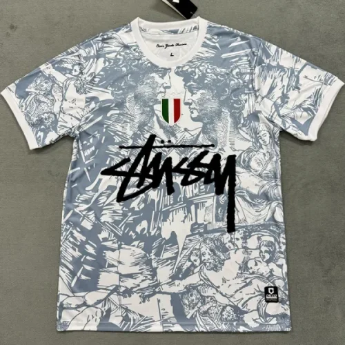 24-25 Italy Grey White Special Edition Fans Soccer jersey (Print Personalized AD)
