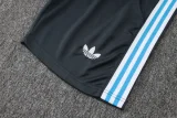 25-26 Argentina Dark gray Training short Suit #D2559
