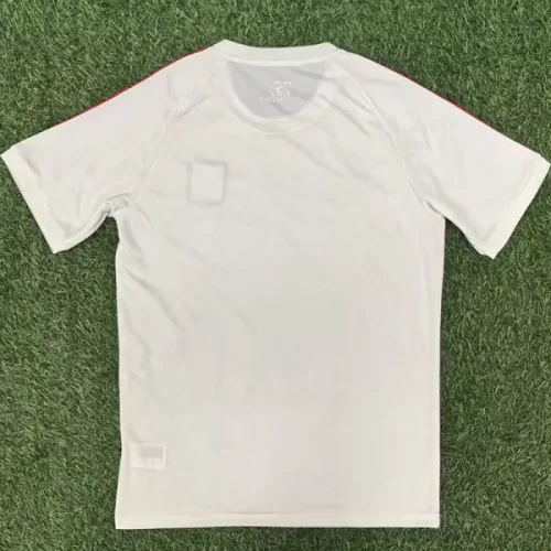 24-25 Lyon 75th Anniversary White Fans Training shirts