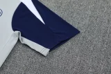 25-26 INT Light gray Training Short Suit