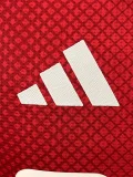 25-26 Ajax Home Player Version Soccer Jersey