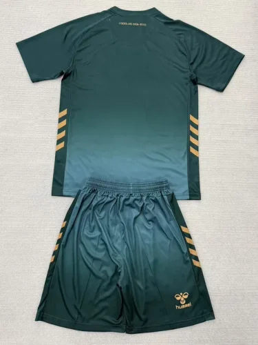 25-26 Werder Bremen Third Fans Soccer Jersey