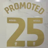24-25 Sunderland Away Print PROMOTED #25 Fans Soccer Jersey