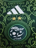 25-26 Algeria Green Player Version Training shirts #A37