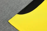 25-26 Dortmund Yellow Training Short Suit