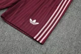 25-26 Bayern jujube red Training Short Suit