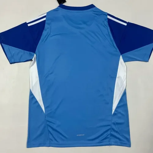 25-26 ATM Blue Goalkeeper Soccer Jersey