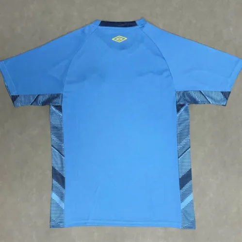 25-26 Gremio Blue Goalkeeper soccer Jersey