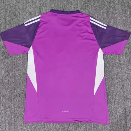 25-26 Argentina Purple Goalkeeper Soccer Jersey