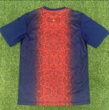 25-26 PSG Red blue Special Edition Training shirts