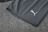 25-26 Man City Grey Training short Suit
