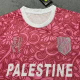25-26 Palestina FC Pink Training shirts (英文广告)