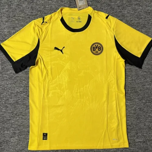 25-26 Dormund Yellow Special Edition Fans Soccer jersey