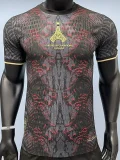 2025 PSG Grey Red champion Player Version Training Shirts