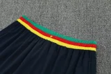 25-26 Cameroon Royal blue Training short Suit