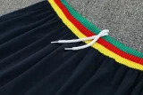 25-26 Cameroon Royal blue Training short Suit