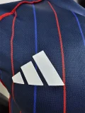 25-26 Lyon Away Player Version Soccer Jersey