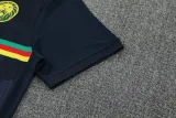 25-26 Cameroon Royal blue Training short Suit