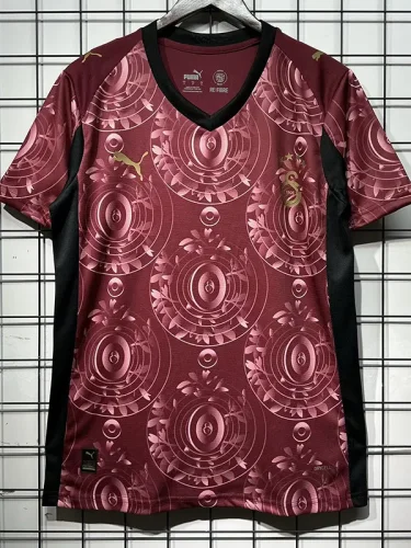 25-26 Galatasaray Third Fans Soccer Jersey(五星)