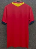 2013-2014 Spain Home Retro Soccer Jersey