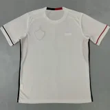 25-26 Vitoria Away Fans Soccer Jersey