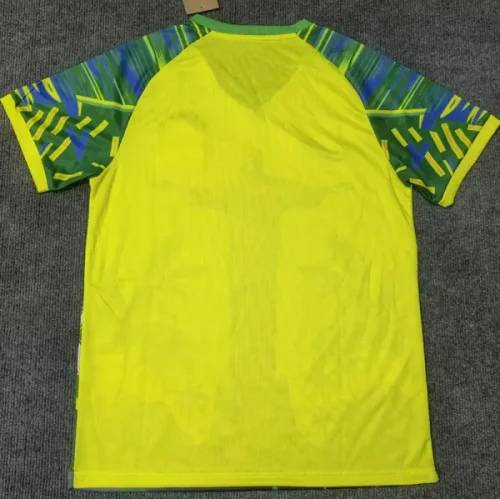 25-26 Brazil Yellow Green Special Edition Training shirts (黄袖口)