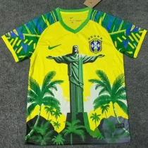 25-26 Brazil Yellow Green Special Edition Training shirts (黄袖口)