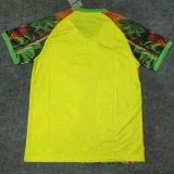 25-26 Brazil Red Yellow Green Special Edition Training shirts