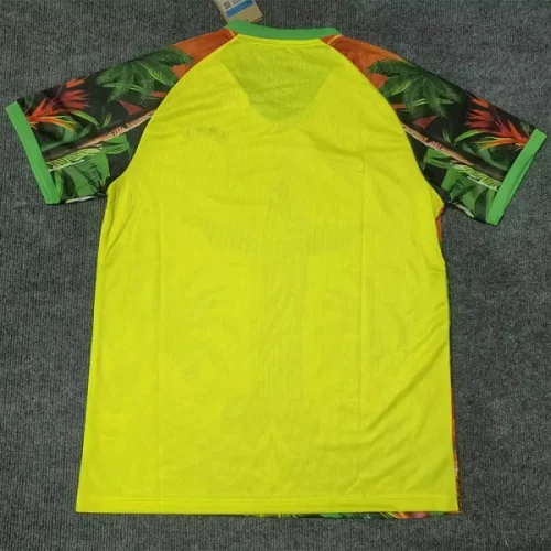 25-26 Brazil Red Yellow Green Special Edition Training shirts