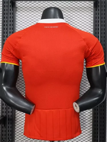25-26 AL AHLY SC Home Player Version Soccer Jersey