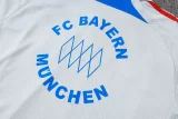 25-26 Bayern Grey Polo Tracksuit #C2547